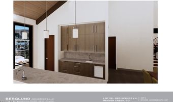 46 Red Spruce Ln 2, Beaver Creek, CO 81620