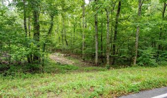 1 Camino Rd, Hot Springs Village, AR 71909