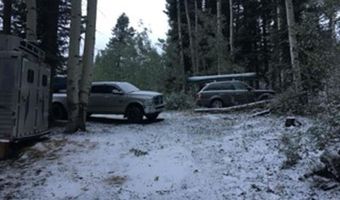 4558 Middle Mountain Rd, Bayfield, CO 81122