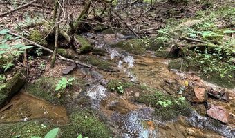 Hall Hollow Road, Austinville, VA 24312