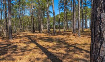 13 Gray Goose Dr, Aurora, NC 27806