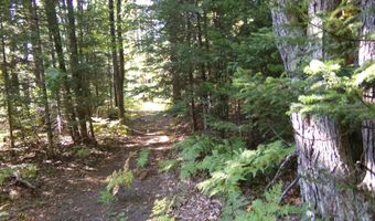 V/L 30AC Lake Winyah Road, Alpena, MI 49707