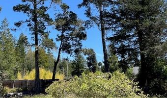 29331 ALBION RIDGE Rd, Albion, CA 95410