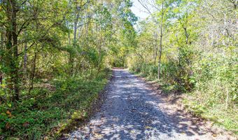 10 Dodd Rd, Barnardsville, NC 28709