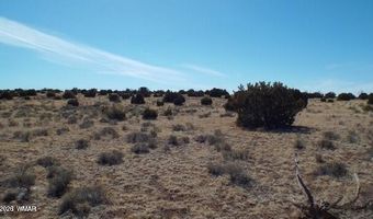 Parcel 107-52-046, Concho, AZ 85924