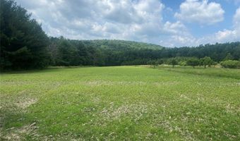 4973 Stryker Rd, Amity, NY 14813