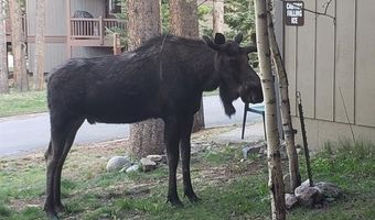 1127 SKI HILL Rd 94, Breckenridge, CO 80424