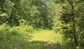 County Road P-305, Ava, MO 65608