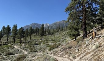 Kingsbury Grade, Gardnerville, NV 89460