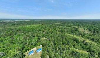 6002 Wildwood, Alger, MI 48610