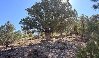 1037 S Canyon Dr, Cedar City, UT 84720