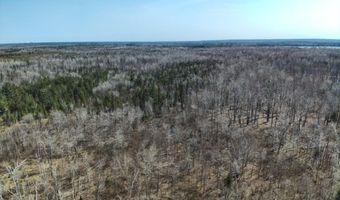 5280 Cathro Rd, Alpena, MI 49707