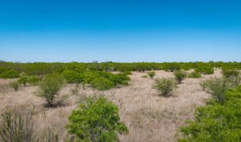 FM 735, Alice, TX 78332