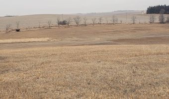 56626 868 Rd, Belden, NE 68717