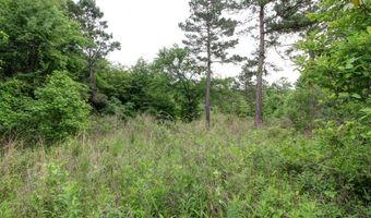 618 CR 2619, Alto, TX 75925