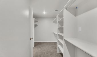 920 Texas Madrone Dr, Socorro, TX 79927