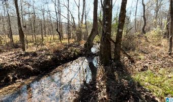 439 WILD ROSE Trl, Ashville, AL 35953