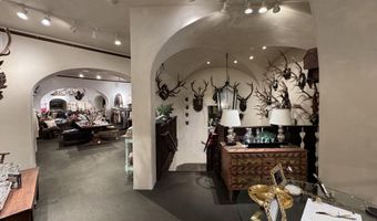 419 E Cooper Ave, Aspen, CO 81611