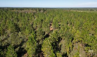 25001 Highway 112, Bay Minette, AL 36507