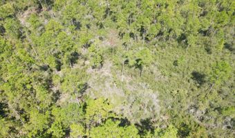 21947 NW Isoletta Rd, Altha, FL 32421