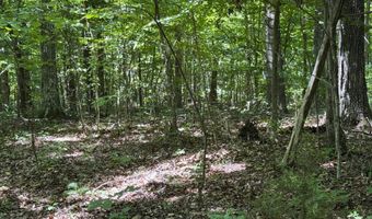 6 8 Acres Friendship South Rd, Afton, TN 37616