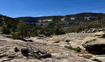 TBD X4 Road, Bedrock, CO 81411