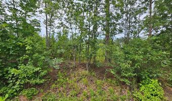 671 Penlan Rd Lot 1, Arvonia, VA 23004