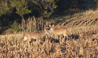 189 Th St, Albia, IA 52531