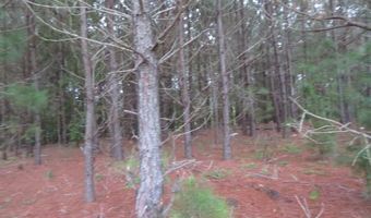 Lot 9 Carolina Crossroads, Roanoke Rapids, NC 27870