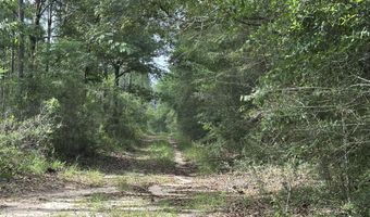 80 AC Old River Rd, Baker, FL 32531