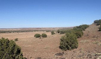 478 N8521, Concho, AZ 85924