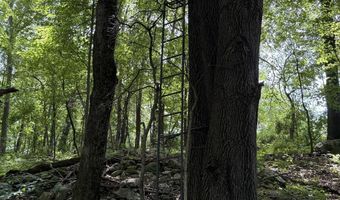 28 Mile Rd, Albion, MI 49224