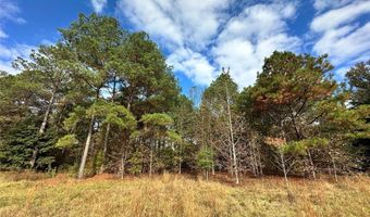 2 BEL RU Lndg, Autaugaville, AL 36003