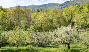 1312 Macintosh Hill Rd, Bethel, VT 05060