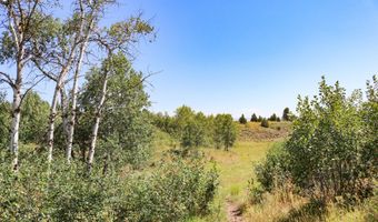 1780 Sadorus Hill Rd, Ashton, ID 83420