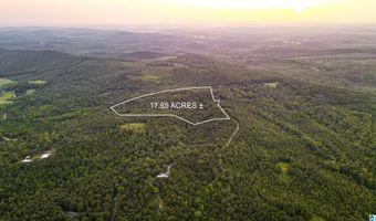 200 TABLEE LANE Lot 17.65, Ashland, AL 36251