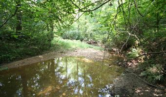 TBA BETTYS BRANCH RD X, Arvonia, VA 23004