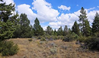 Swan Drive 16 & 17, Bonanza, OR 97623