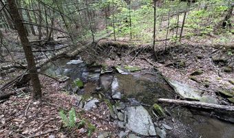 Stewart Road, Addison, NY 14801