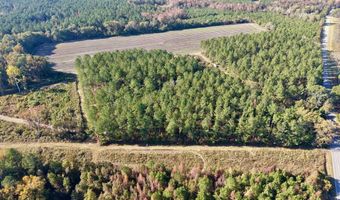 TBD Binnicker Bridge Road, Bamberg, SC 29003