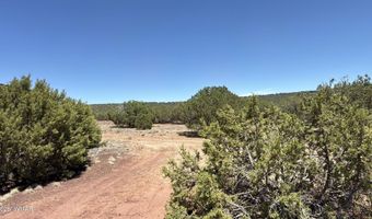 38 County Road 8283, Concho, AZ 85924