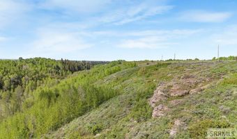 1550 W Rim Loop Rd, Ashton, ID 83420
