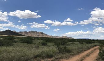 40 ACRE Near Ironwood Rd, Cochise, AZ 85606