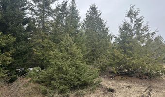 4200 Bloom Rd, Alpena, MI 49707