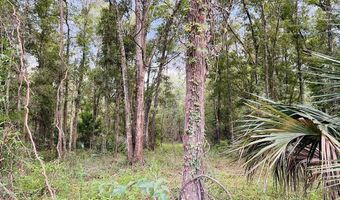 Lot 5 67th Pl, Bell, FL 32619