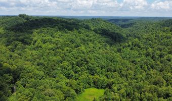 00 Tbd Long Shoal Br, Beattyville, KY 41311
