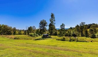 653 Mag Sluder Rd, Alexander, NC 28701