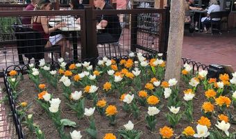 645 Manhattan Pl 304, Boulder, CO 80303