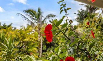 29-2828 KAIWIKI HOMESTEAD Rd, Hakalau, HI 96710