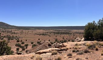 77 CR N8604, Concho, AZ 85924